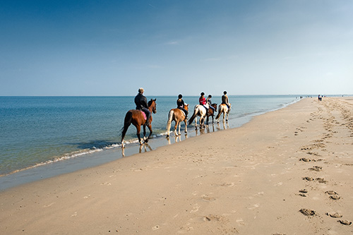 O que visitar e fazer na Comporta (Setúbal - Portugal) - Passeios a Cavalo