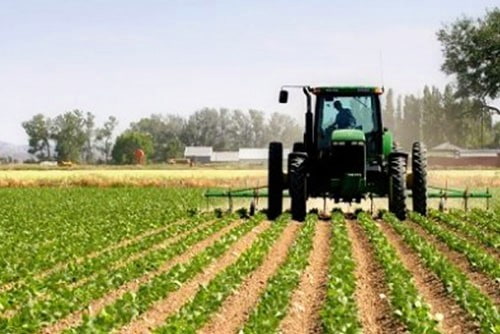 Landbouw & veeteelt