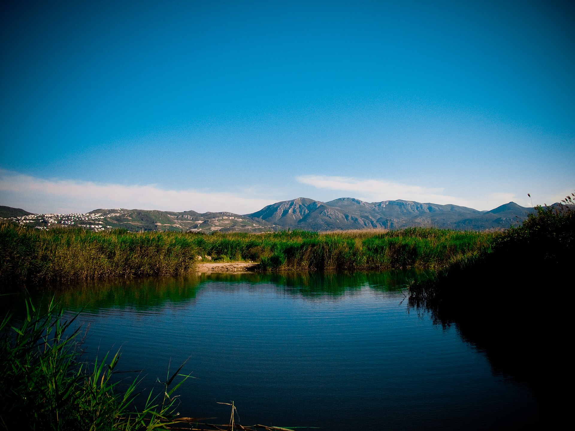 Parque Natural de la Marjal de Pego-Oliva