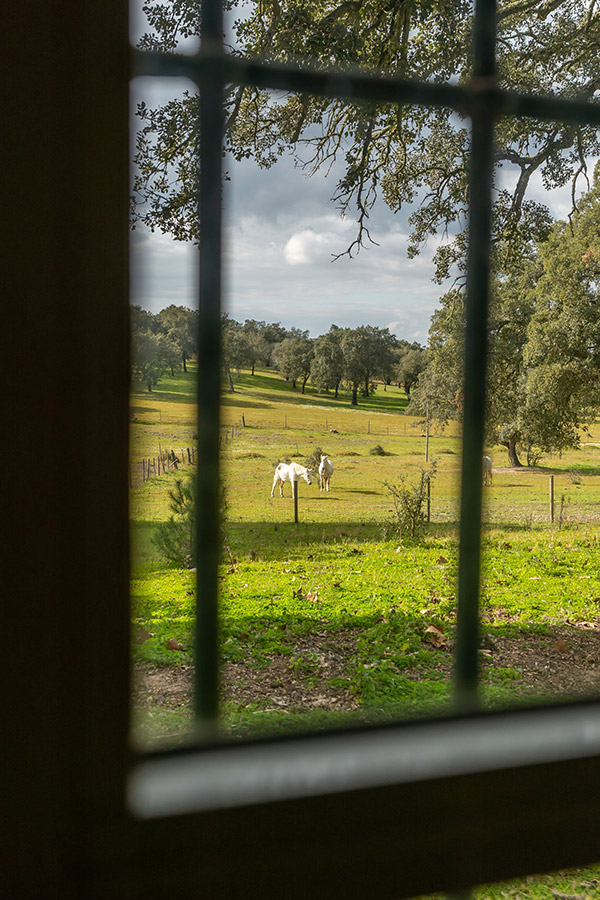 Alentejo