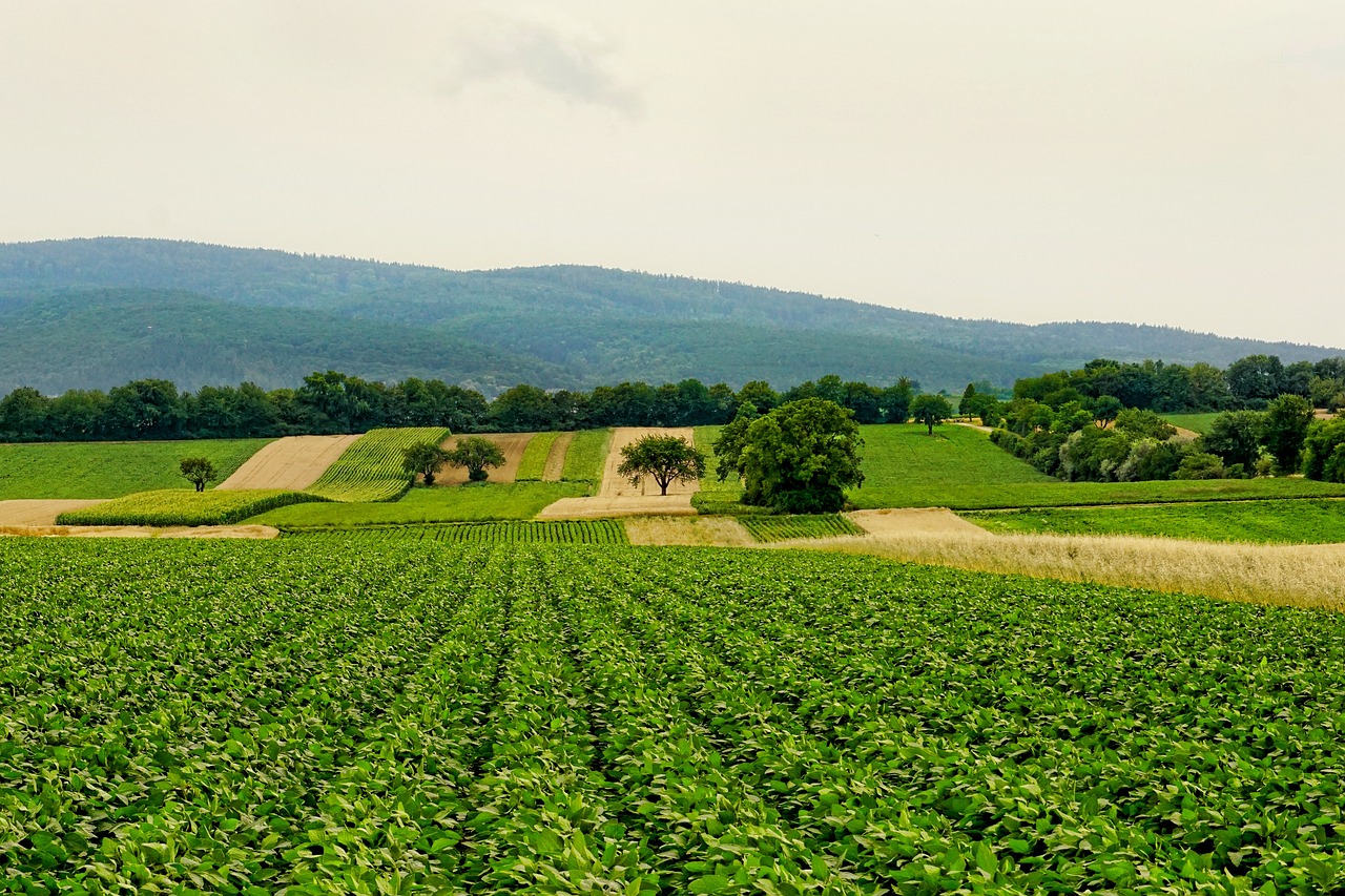 Fundo Agronegócios