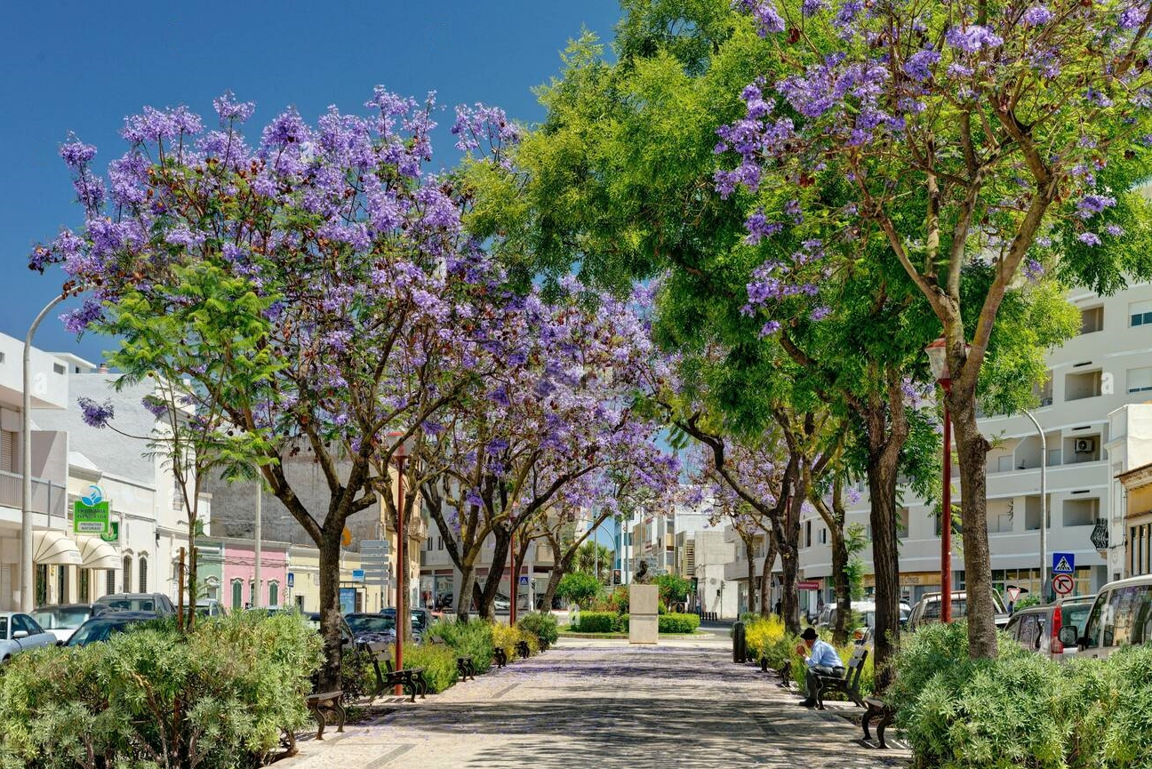 Loulé avenue with flowers, apartments 2 & 3 bedrooms, Sapphirus