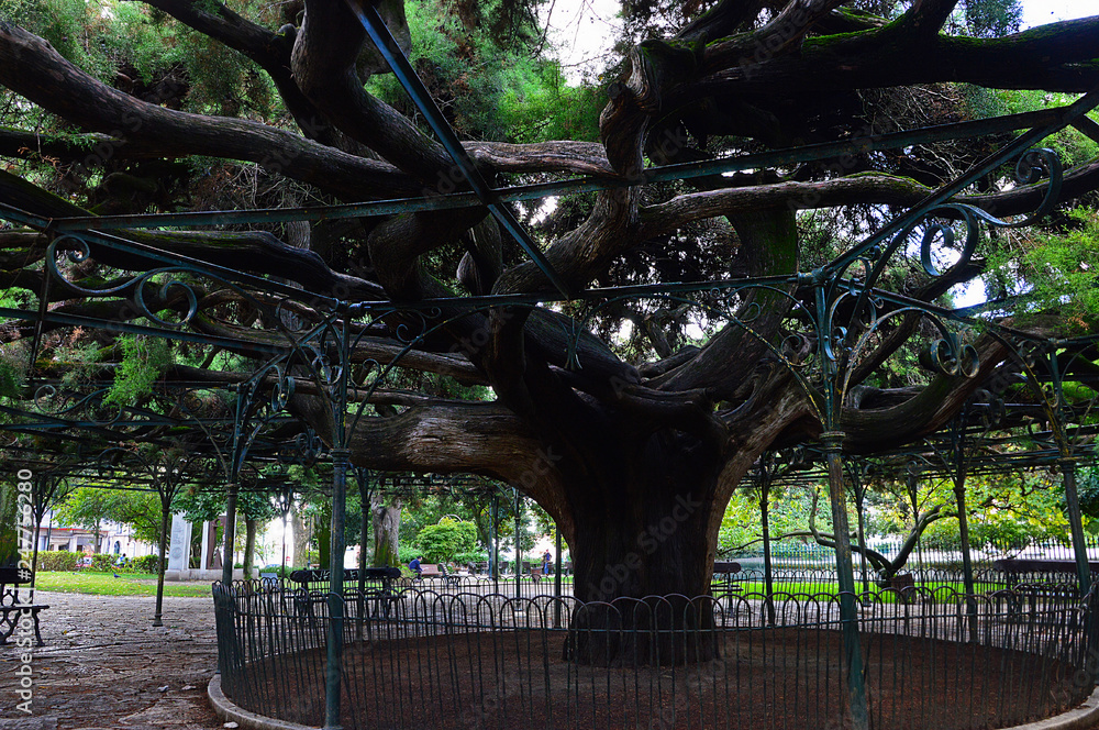 Lieux à visiter et choses à faire à Príncipe Real (Lisboa) - Jardim França Borges (Jardin França Borges)