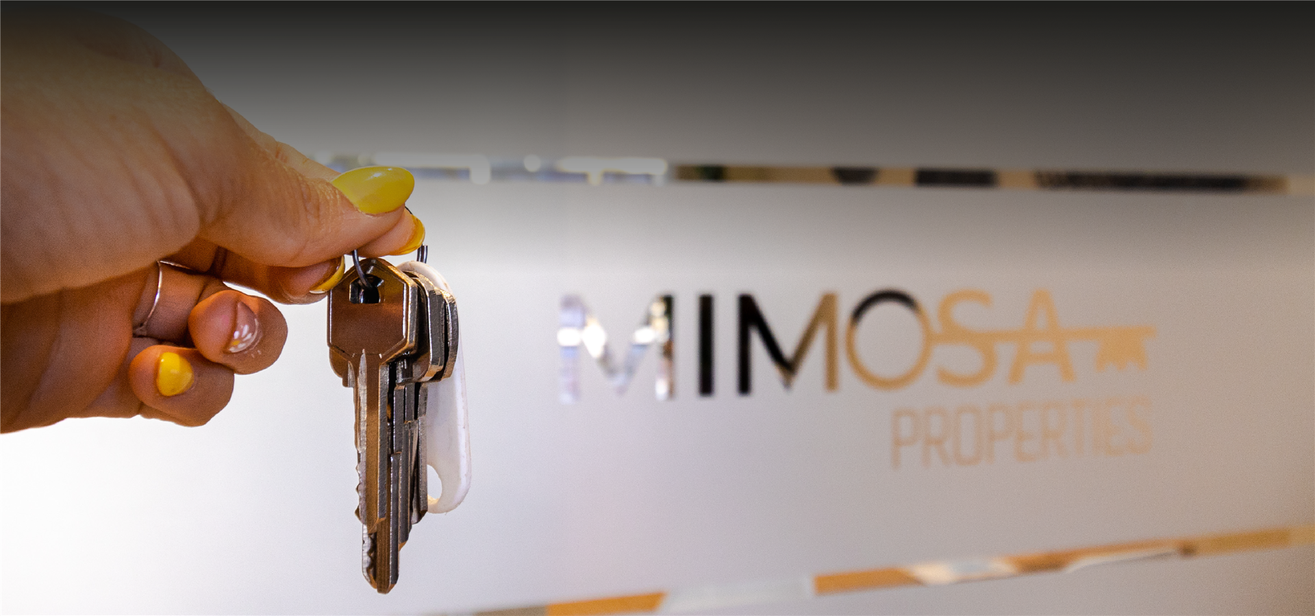 Mimosa Properties