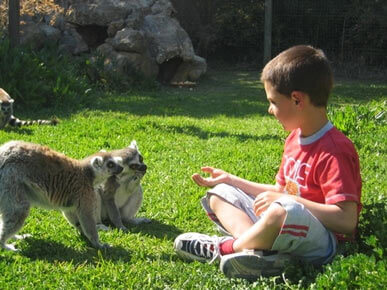 O que visitar e fazer em Lagos (Algarve – Portugal) - Zoo de Lagos
