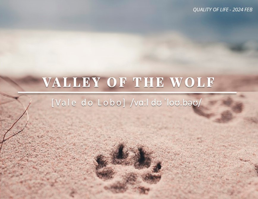 Properties vale do lobo