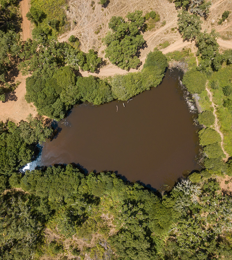 Alentejo