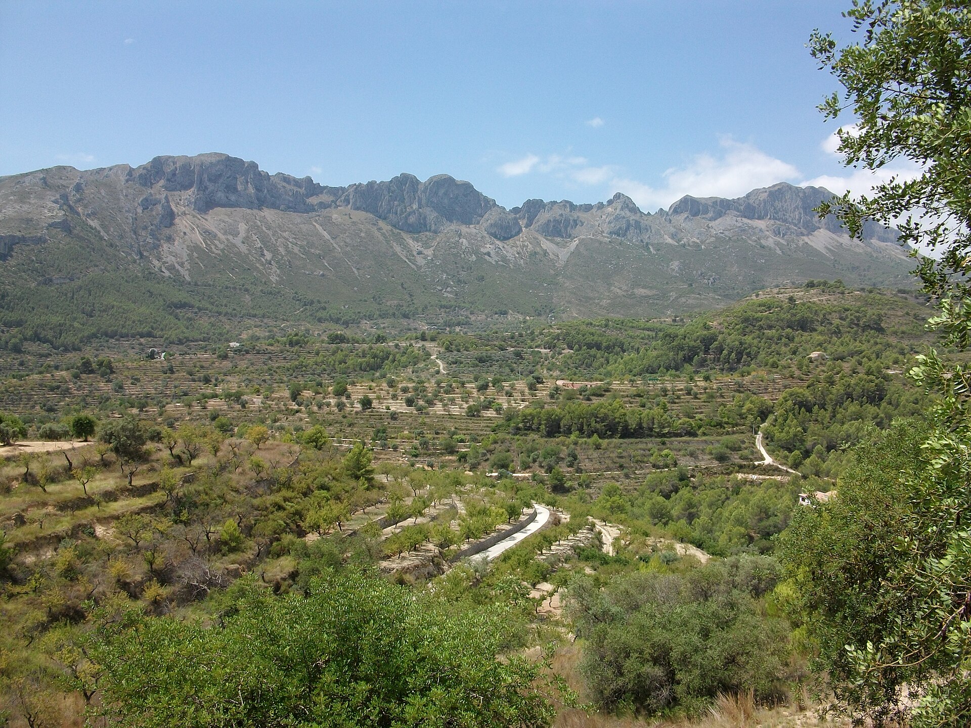 Sierra de Bernia vista desde Pinos