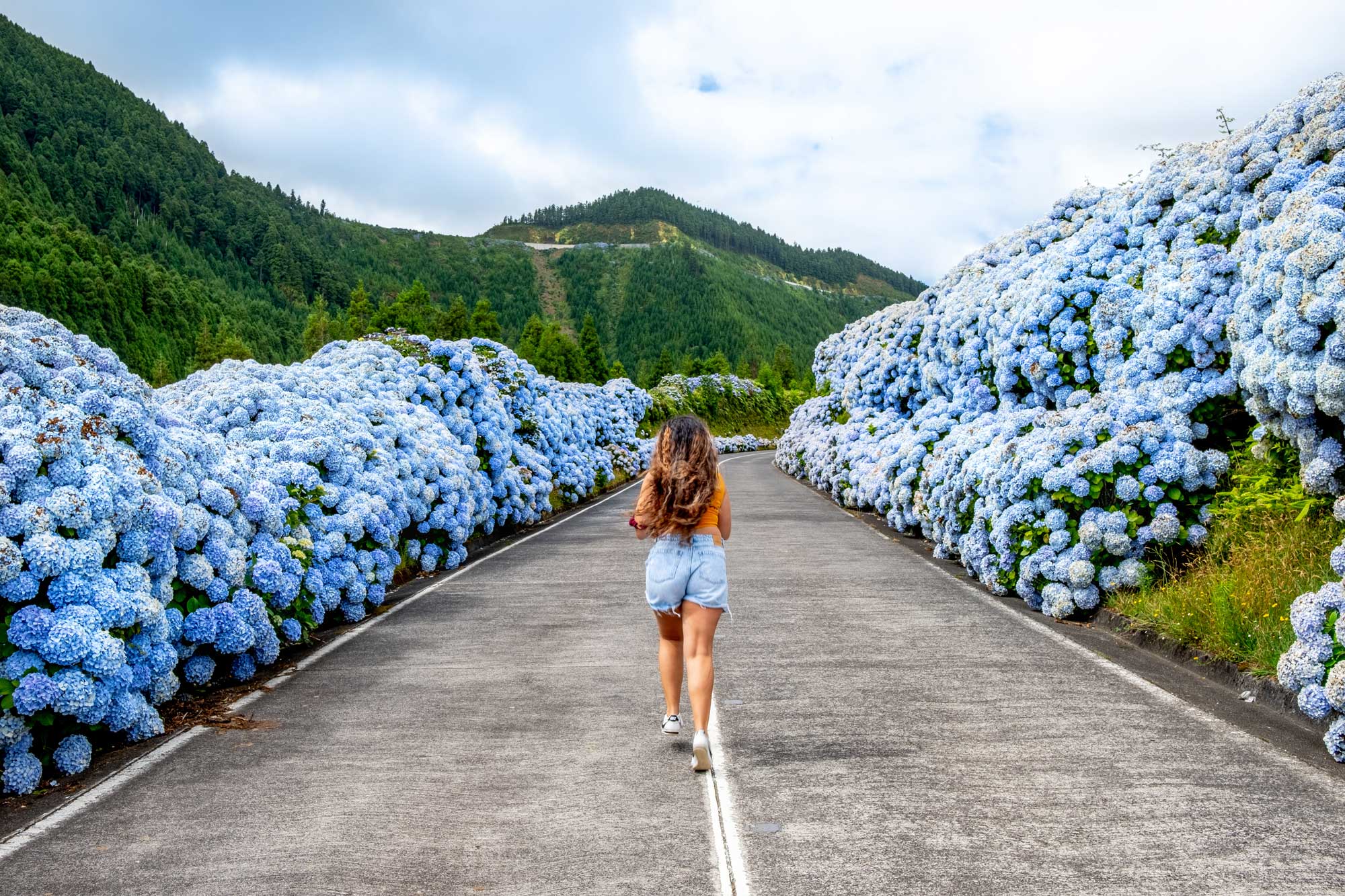 Vida Cotidiana, Legalidade e Recursos Adicionais - Viver nos Açores