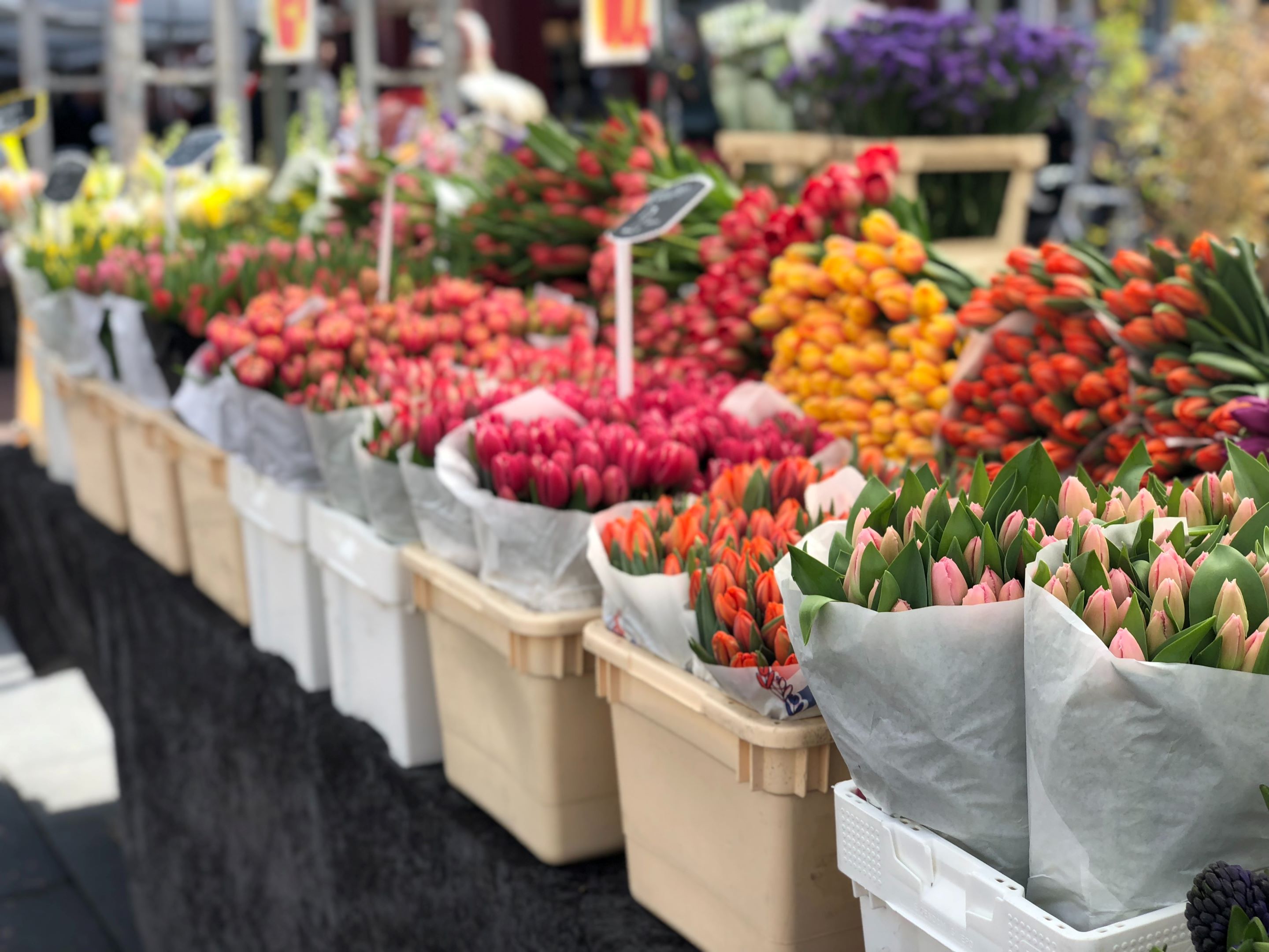 Flower shop in Loule Market, 2 and 3 bedroom apartments