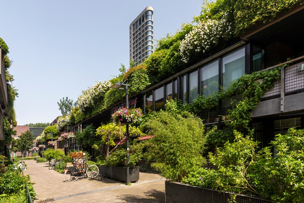 Natureza e equilíbrio entre cidade e espaços verdes em Eindhoven