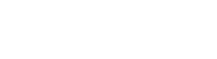 Logo Drummond Realty Consultants