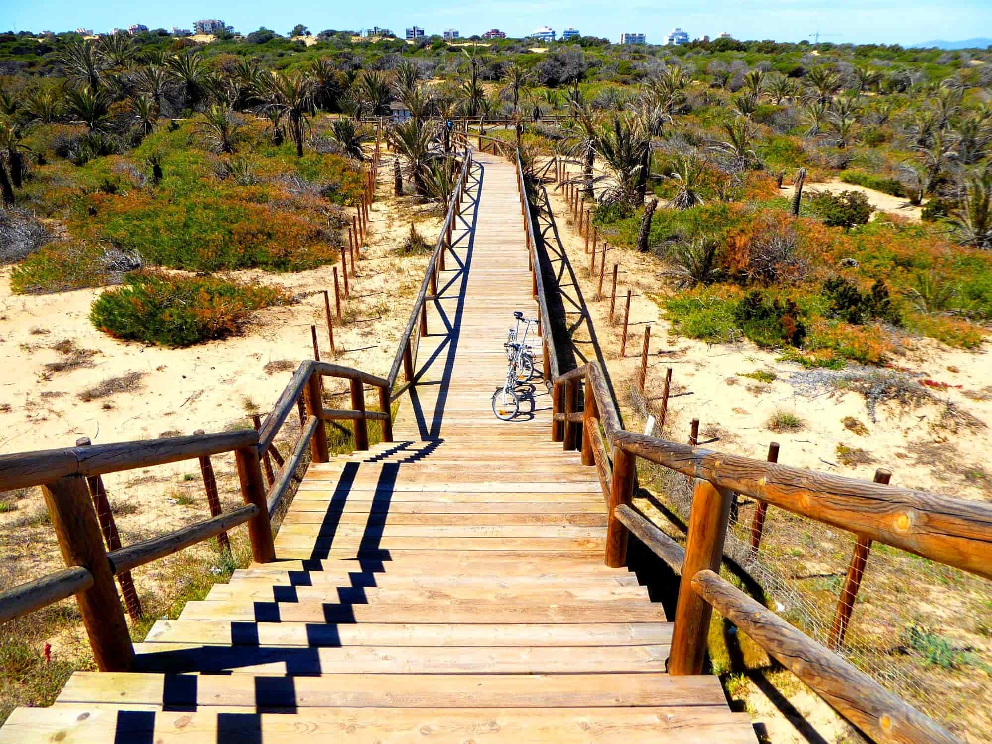 Parc Alfons XIII in Guardamar del Segura