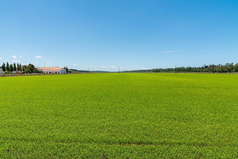 Alcácer do Sal