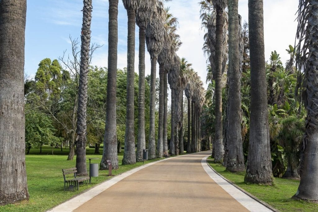 O que visitar e fazer em Belém (Lisboa) - Jardim Botânico Tropical