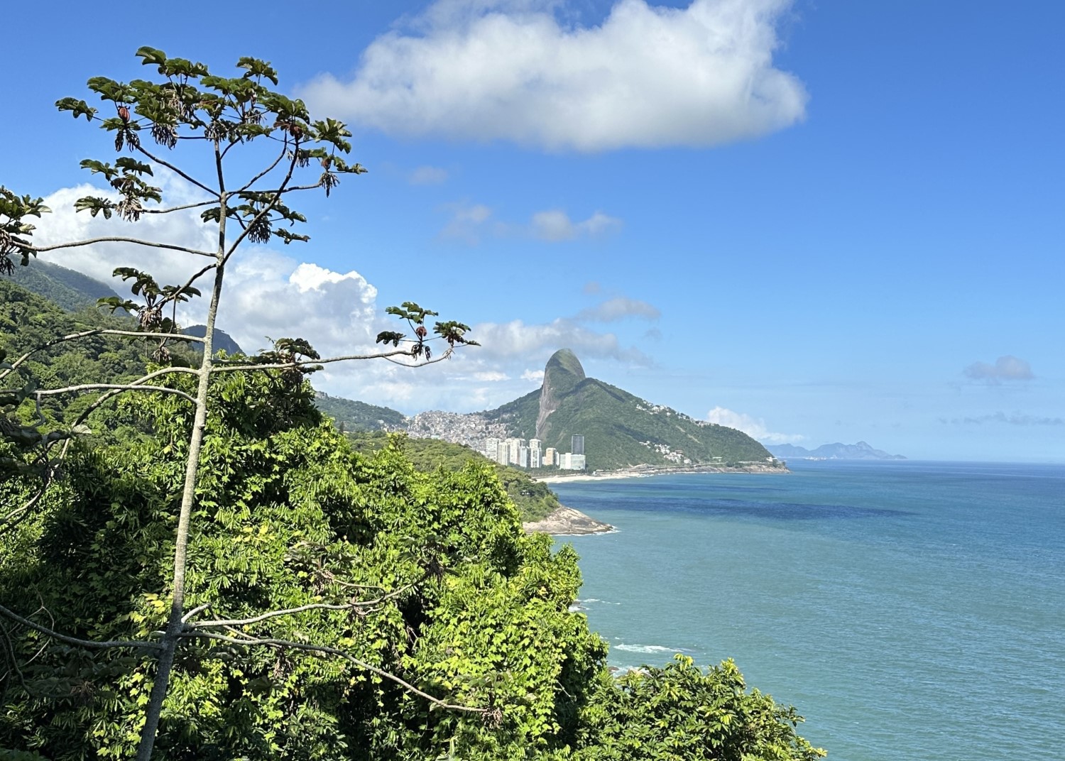 Discover Joá WhereInRio