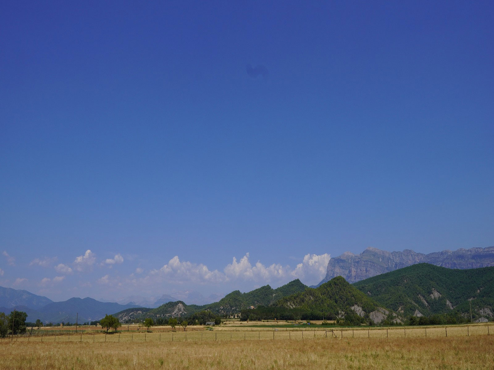 Aínsa-Sobrarbe, Gerbe