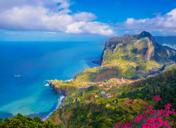 céu azul, montanhas e flores - nordeste