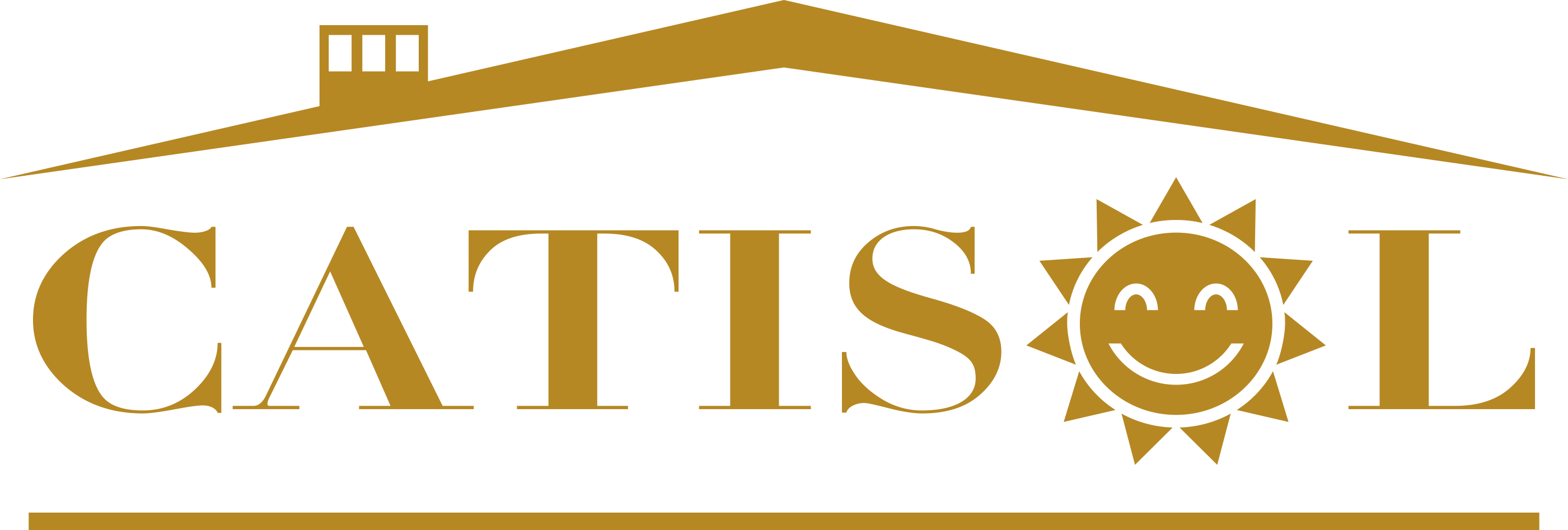 CATISOL - LOGO