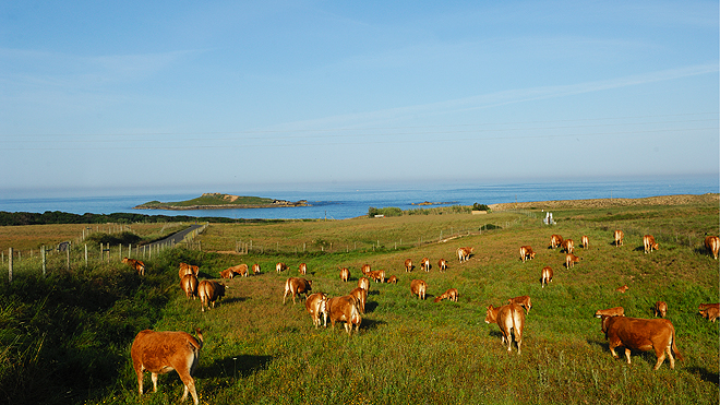 Viver no Alentejo Litoral (Portugal)