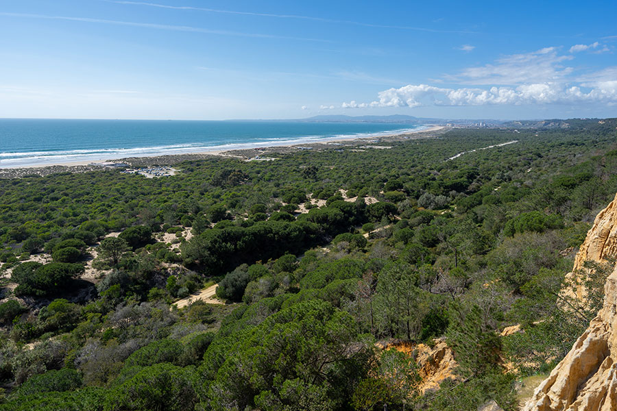 Viver na Aroeira (Setúbal - Portugal)