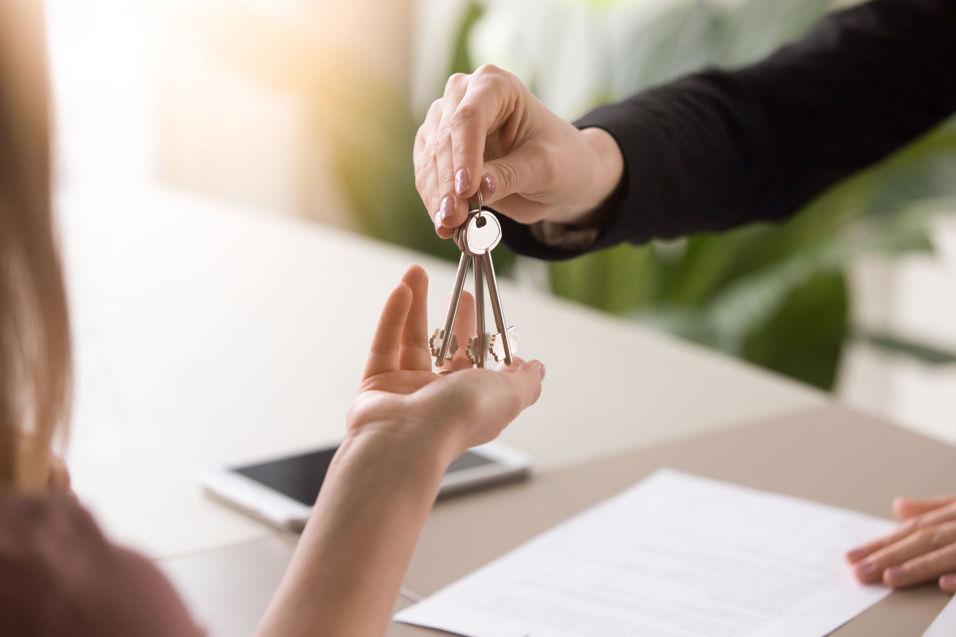 Enjoy Houses Spain propose des services professionnels clé en main à Jávea et sur la Costa Blanca Nord – solutions complètes pour l’achat, la rénovation et la gestion de villas, appartements et maisons