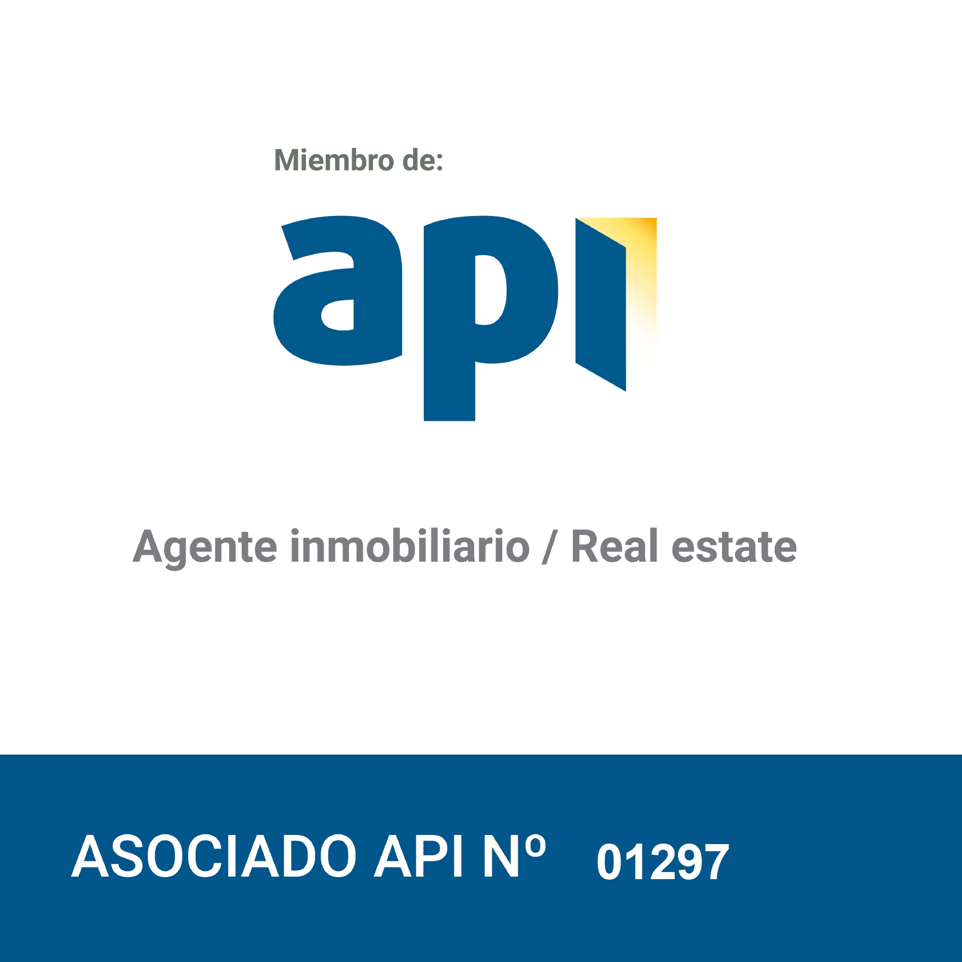 Logo API pour Dave Spijker, agent immobilier professionnel avec numéro d’adhésion API individuel