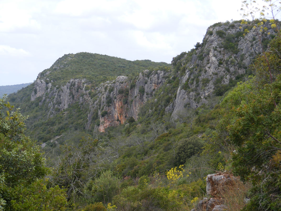 O que visitar e fazer em Loulé (Algarve - Portugal) - Paisagens Protegidas