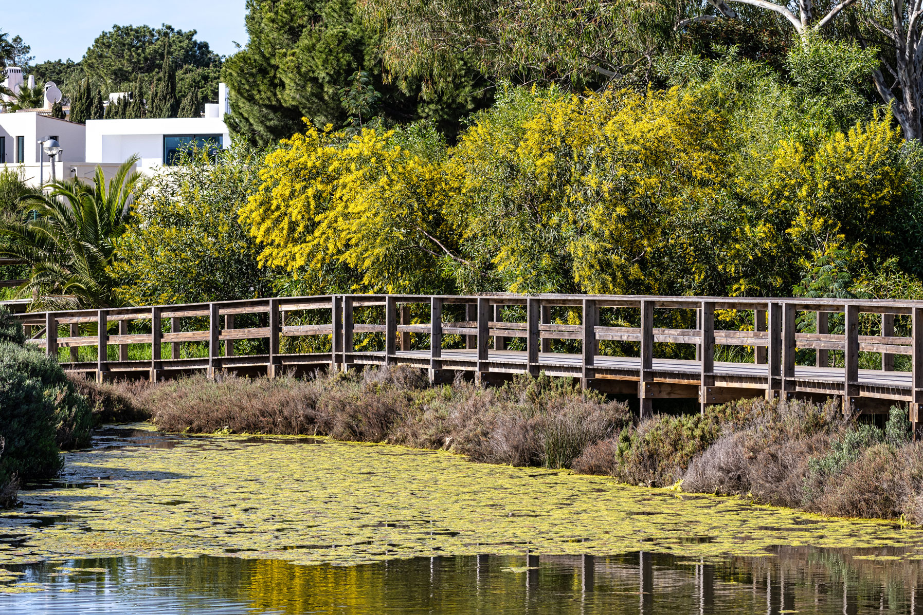 History of Quinta do Lago (Algarve - Portugal)