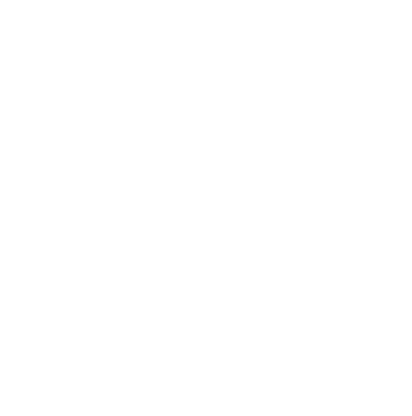 Logo Algarve Exclusif