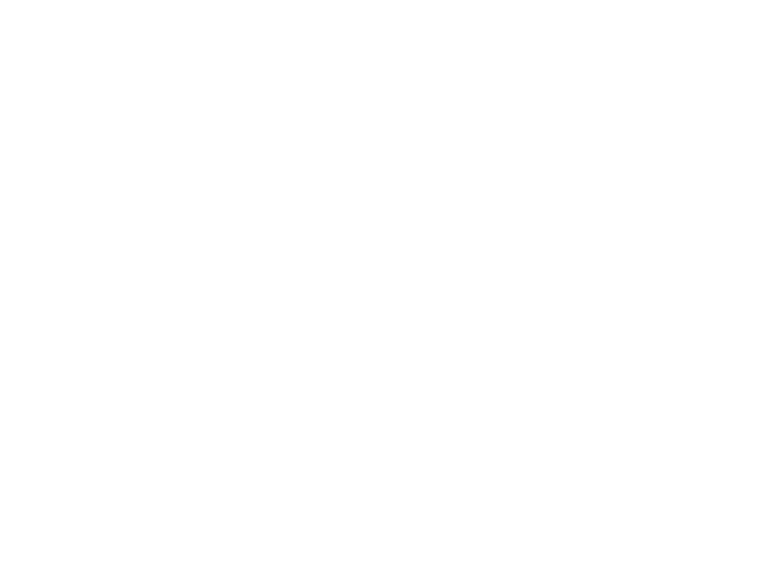 Vitor Sebastião – Real Estate