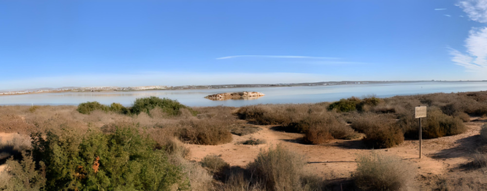 Los Montesinos, Costa Blanca Zuid