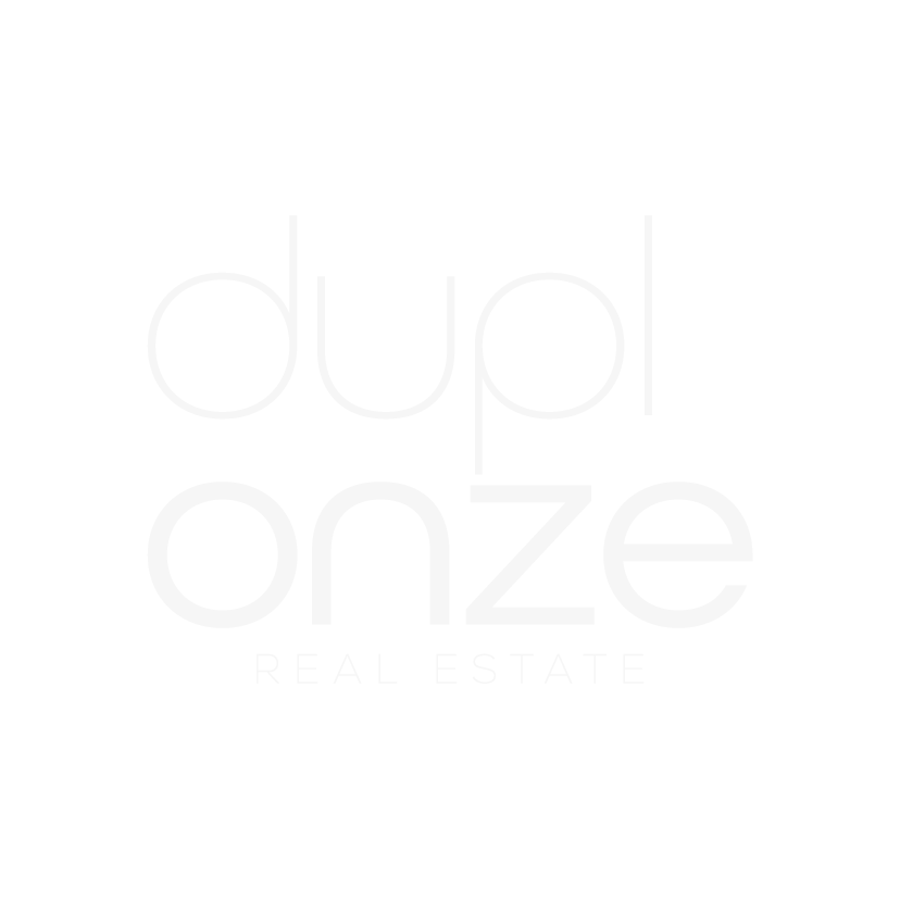 logo duplonze