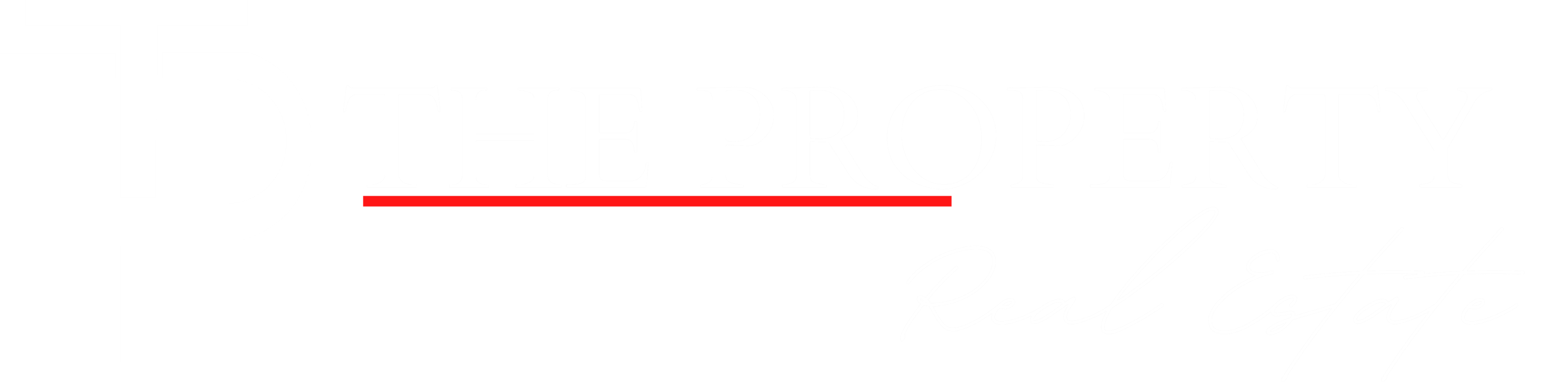 Logo The Property