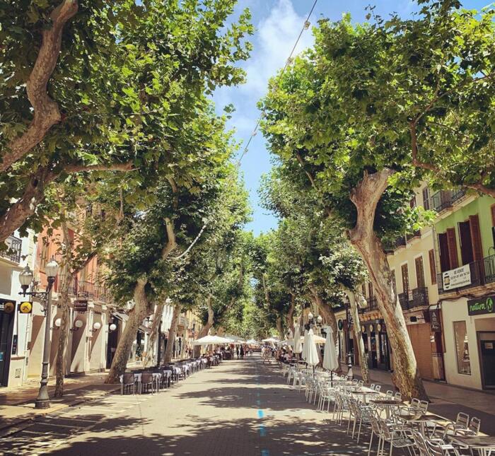 Dénia stad, Costa Blanca Noord, Spanje