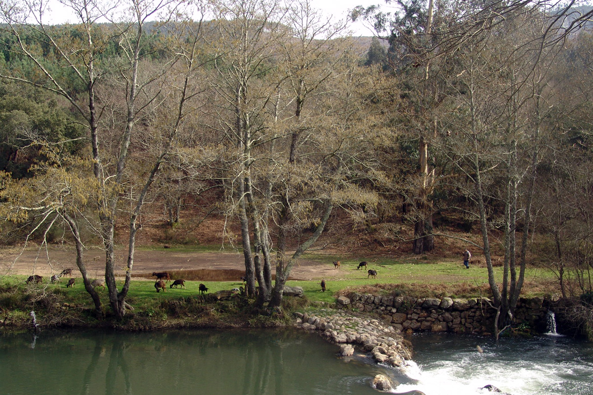 Naturaleza y Lugares para Visitar ​Gondomar – Meu Lar