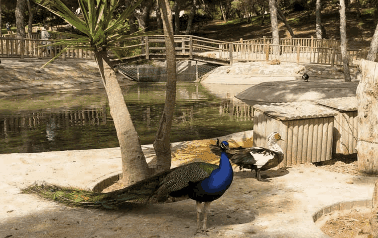 Parc Alfons XIII in Guardamar del Segura