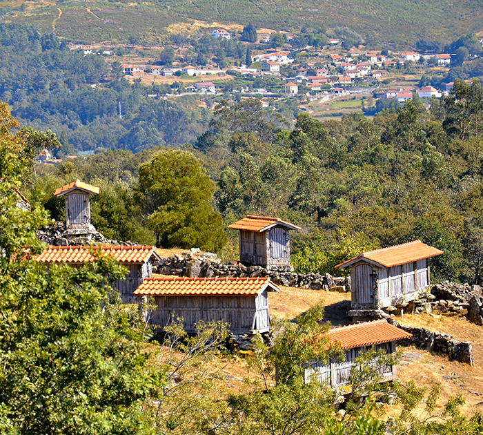 Paredes de Coura