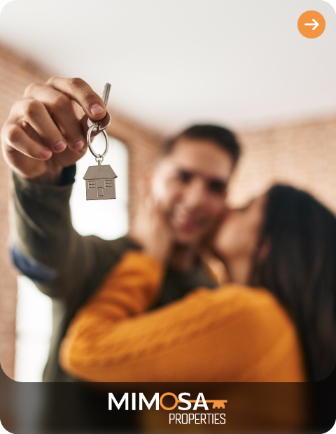 Mimosa Properties