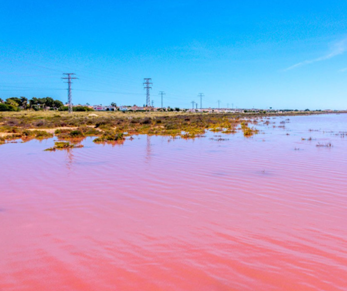 La Mata, Salinas, Roze zoutmeren