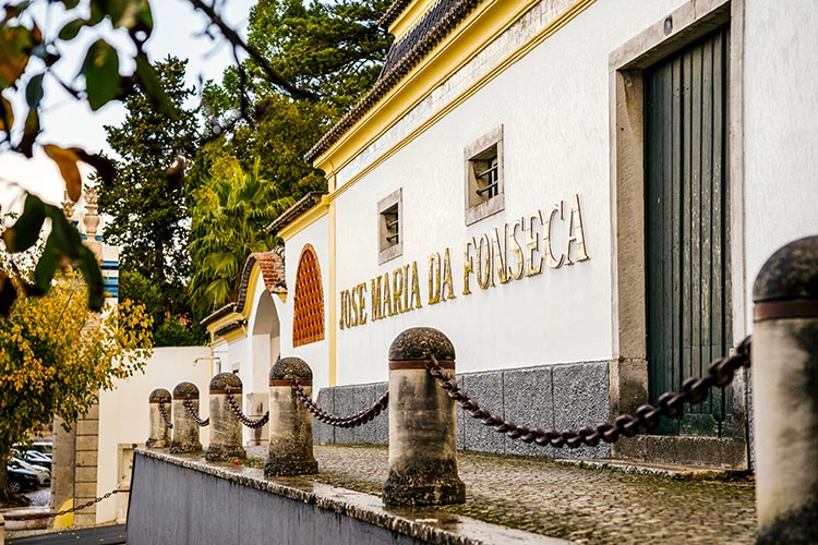 O que visitar e fazer em Azeitão (Setúbal - Portugal) - Casa Museu José Maria da Fonseca