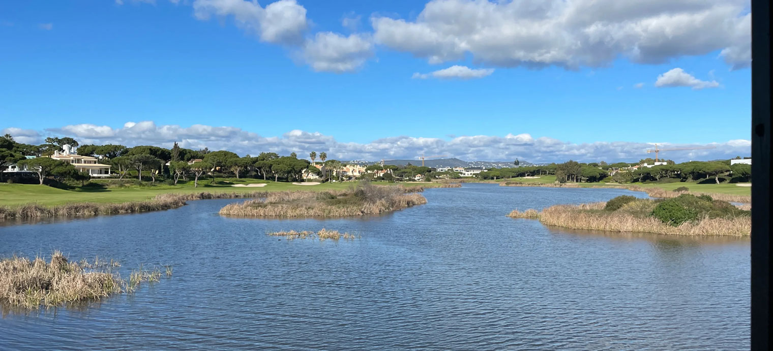 O que visitar e fazer em Almancil (Algarve - Portugal) - Observação de Aves