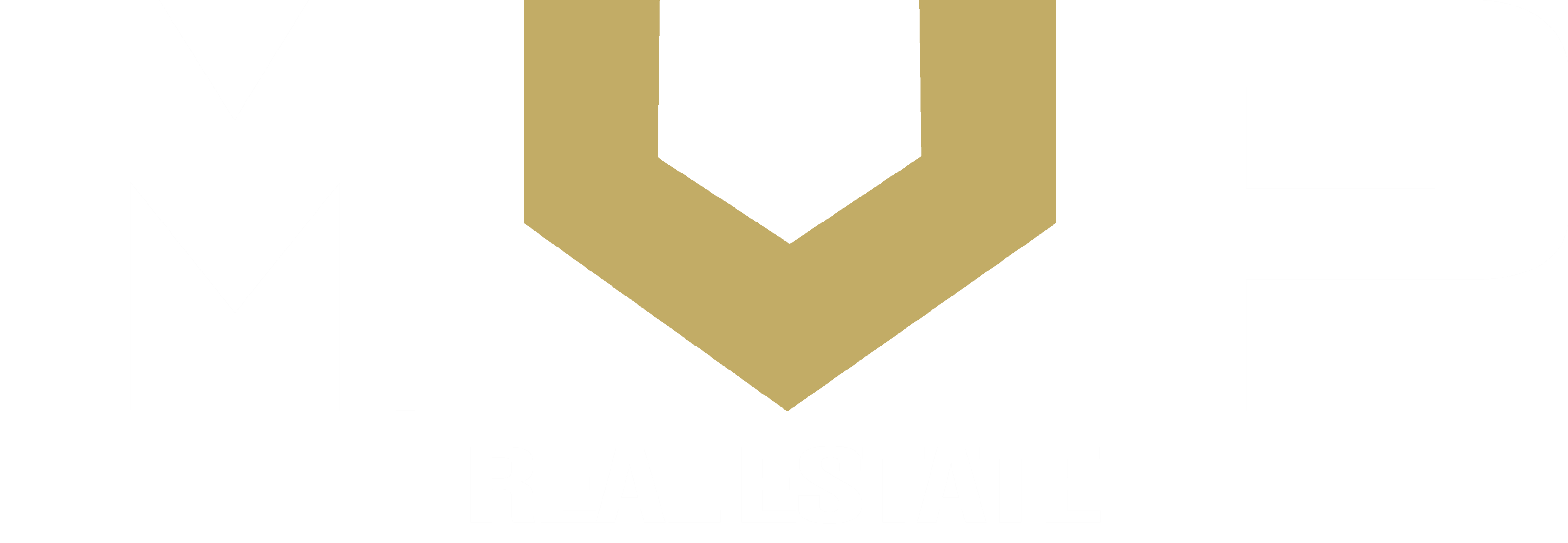Logo Header MVP