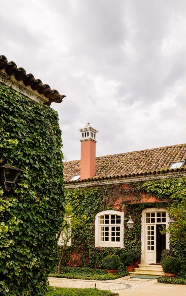 Banner 9 Imagem 2 Quer Vender