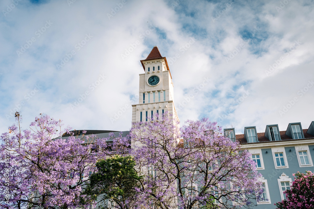 Places to visit and things to see and do in Cais do Sodré (Lisboa) - Jardim Dom Luís (Dom Luís Garden)