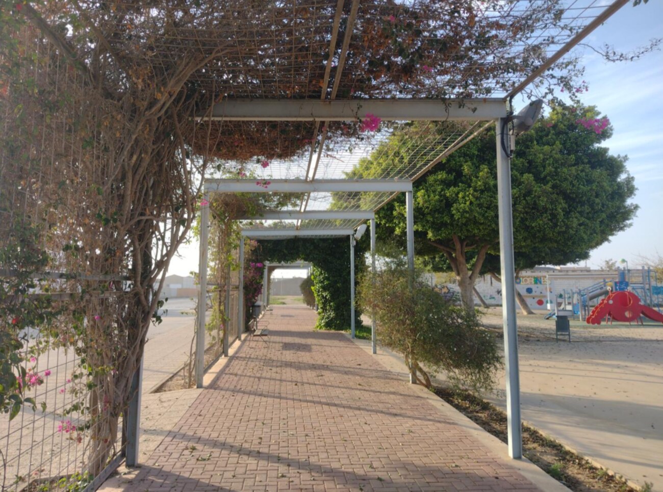 Balsicas, Costa Cálida