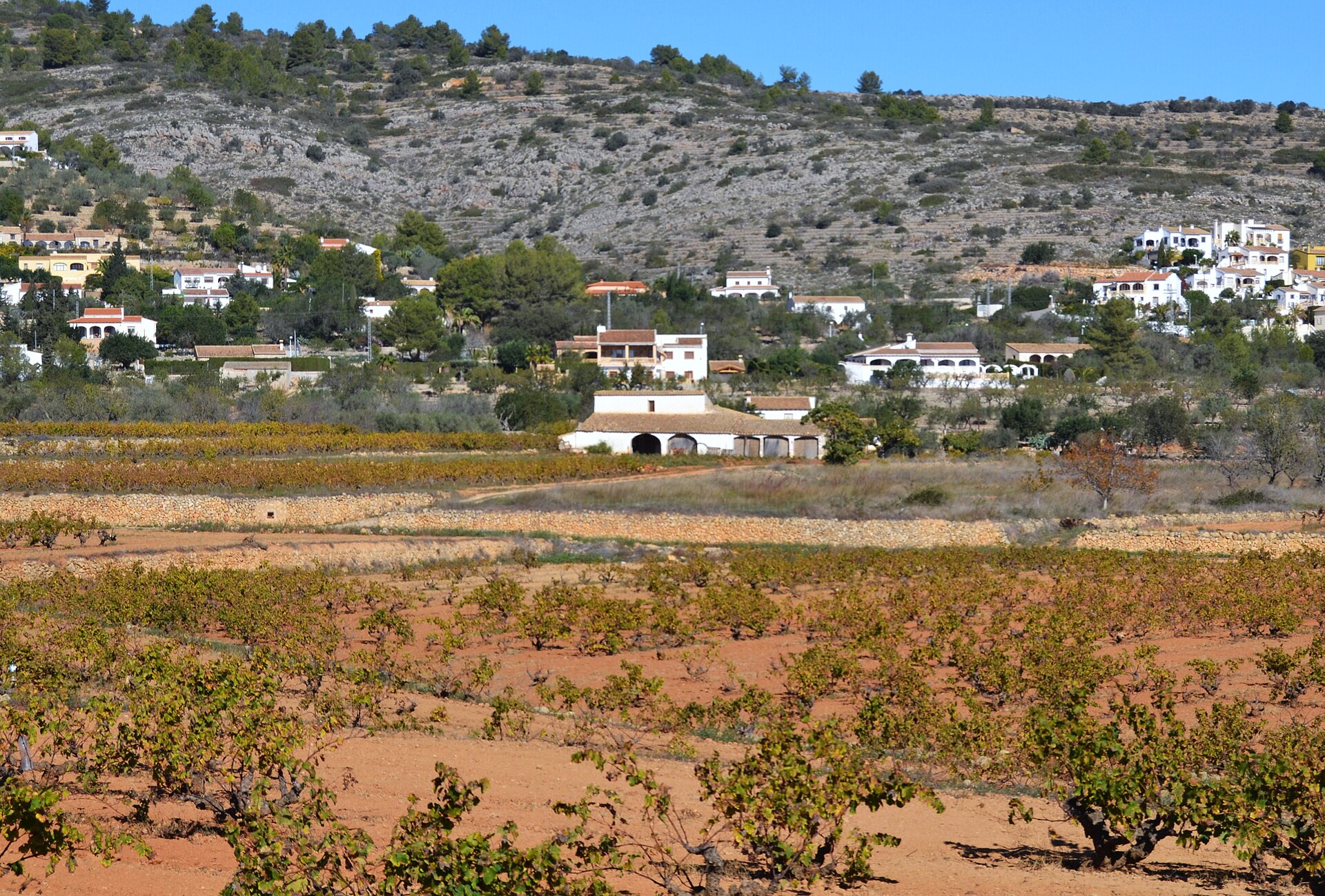 Viñedos y un riurau tradicional en Benitachell