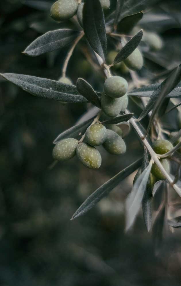 Banner 5 Imagem 2 Porquê Portugal